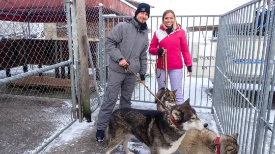 Schlittenhunde Abenteuer Ermenswil St. Gallen für 2