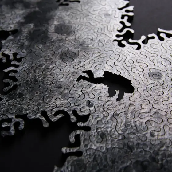 Infinity Puzzle - Holz-Puzzle ohne Grenzen : Mond
