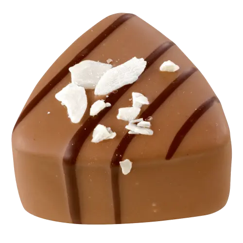 Spekulatius-Nougat-Praline
