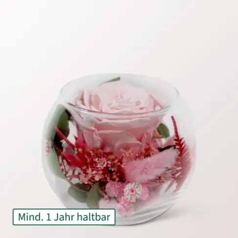 Rosa haltbare Rose im Glas