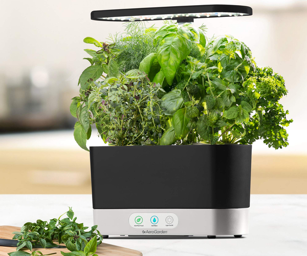 100+ Geschenke für Ihren Ehemann, mit denen Sie die Frau des Jahres