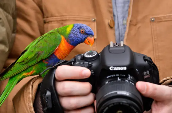 Tierfotografie für Einsteiger im Tierpark