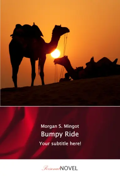 Bumpy Ride