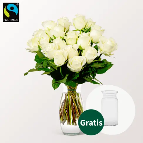 20 weiße Fairtrade Rosen im Bund