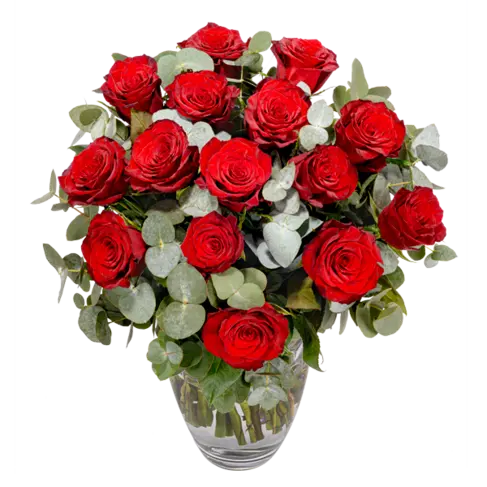 Rote Premiumrosen