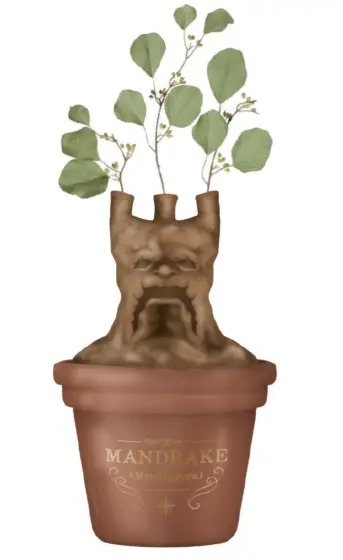 Harry Potter Alraunen Blumentopf