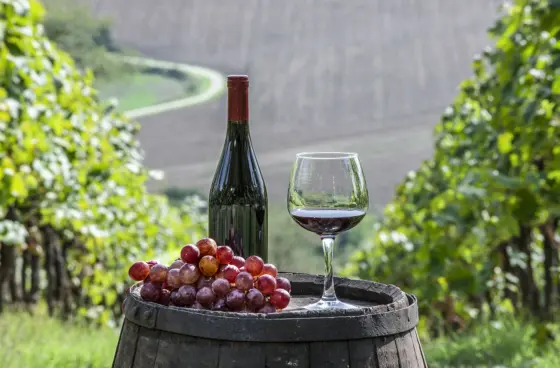 Rotweinwanderung Schriesheim