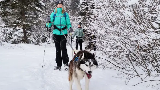 Husky Schneeschuhtrekking Hohentauern für 2