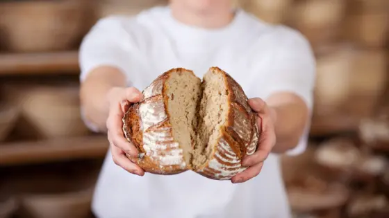 Brotbackkurs Kulmbach (alte Getreidesorten)