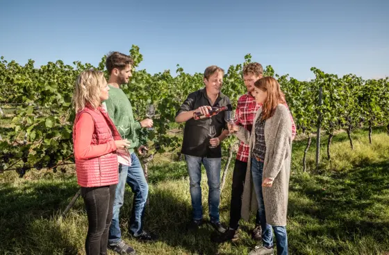 Weinbergwanderung mit Verkostung Worms