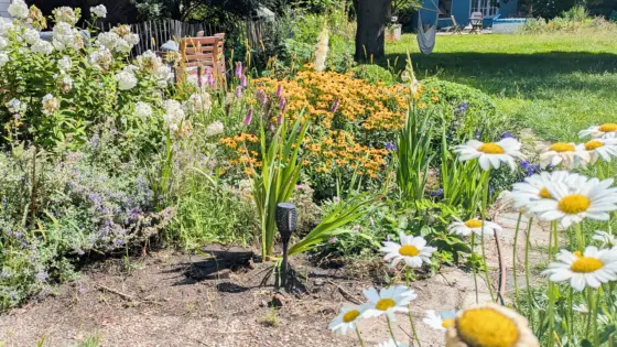 Garten Kurs Bottrop