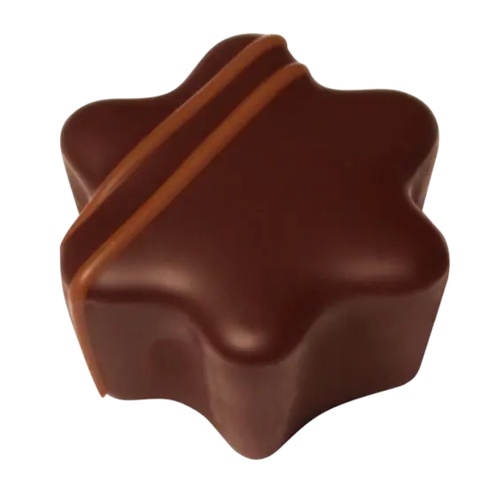 Weihnachtsstern Schoko-Trüffel & Lebkuchengewürz