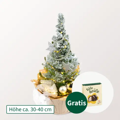 Weihnachtsbaum Sternenglanz mit Lichterkette &