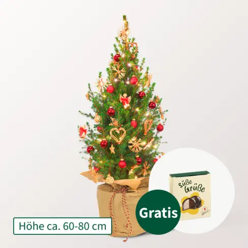 Weihnachtsbaum Weihnachtsstrahlen mit Lichterkette &