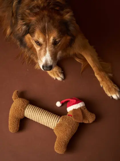Hundespielzeug Weihnachts-Dackel mit Quietschspielzeug e mütze