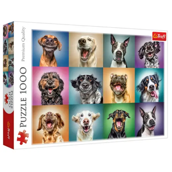 Puzzle 1000 Teile "Lustige Hunde Porträts"