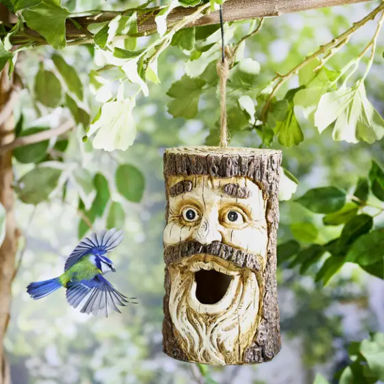 Vogelhaus Baum mit Gesicht