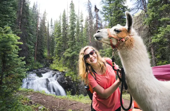 Lama-Trekkingtour