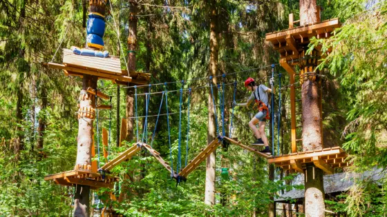 Kletterparcours im Waldseilgarten für 2