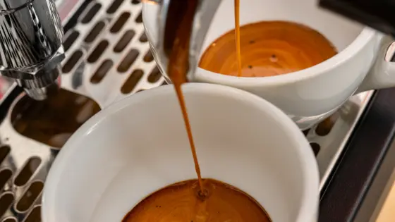 Barista Kurs für Anfänger in Hamburg