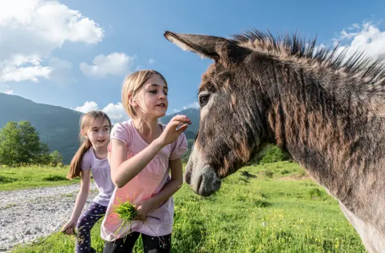 Eselwanderung in Untrasried für 2