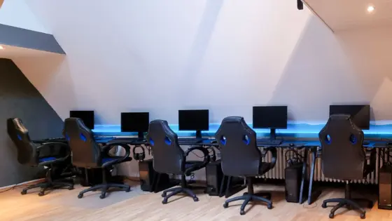 Gaming für 5 Braunschweig (24 Std.)