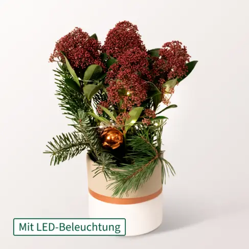 Rote Weihnachts-Skimmie mit Lichterkette