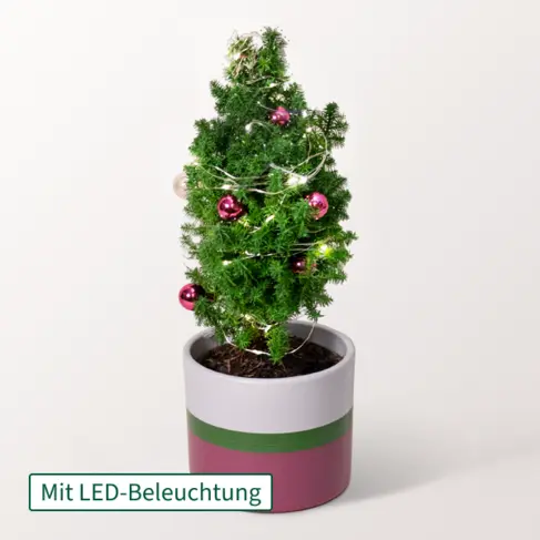 Weihnachtsbaum Sweet Christmas mit Lichterkette